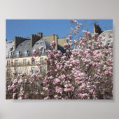 Frühling in Paris Poster (Vorne)