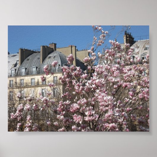 Frühling in Paris Poster (Vorne)