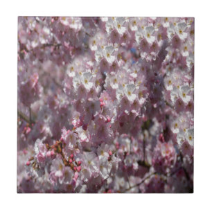 Frühling in Pink Fliese