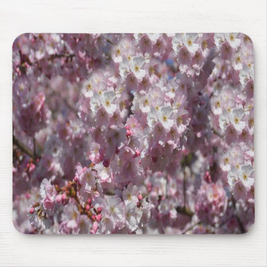 Frühling in Rosa Mousepad (Vorne)