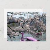Frühling in Shinobazu Pond: Ueno, Tokio Postkarte (Vorne/Hinten)