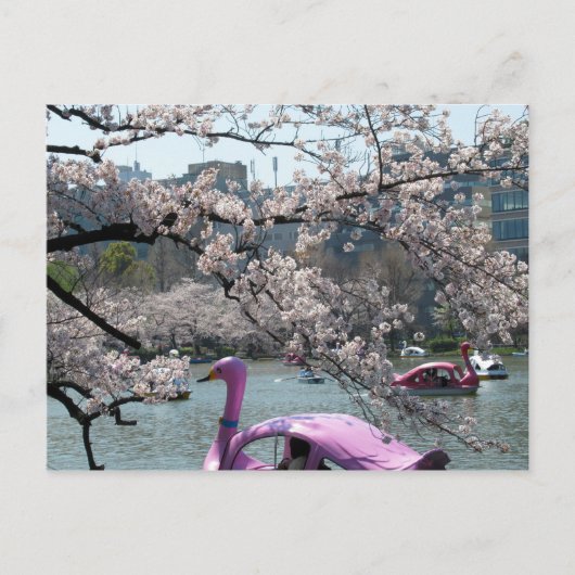 Frühling in Shinobazu Pond: Ueno, Tokio Postkarte (Vorderseite)