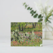 Frühling in Texas Postkarte (Stehend Vorderseite)