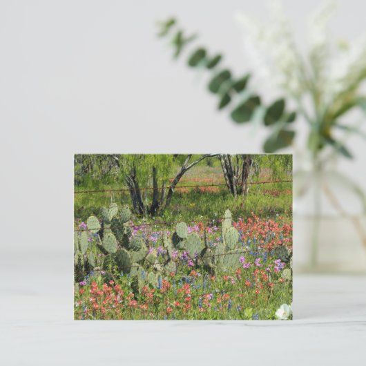 Frühling in Texas Postkarte (Stehend Vorderseite)