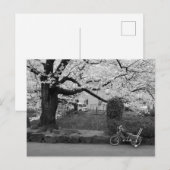 Frühling in West-Tokio Postkarte (Vorne/Hinten)