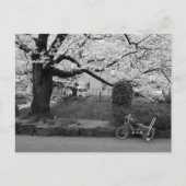 Frühling in West-Tokio Postkarte (Vorderseite)