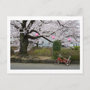 Frühling in West-Tokio Postkarte
