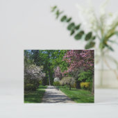 Frühling in Wien Postkarte (Stehend Vorderseite)