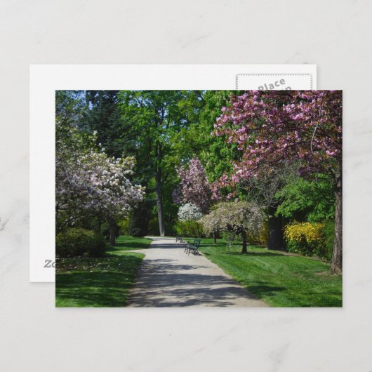 Frühling in Wien Postkarte (Vorne/Hinten)