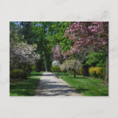 Frühling in Wien Postkarte (Vorderseite)