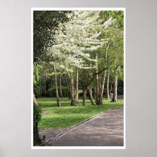 Frühling Irland Poster