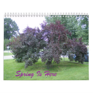 Frühling ist hier Kalender