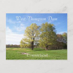 Frühling ist sprung postkarte