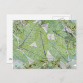 Frühling ist sprung postkarte (Vorne/Hinten)