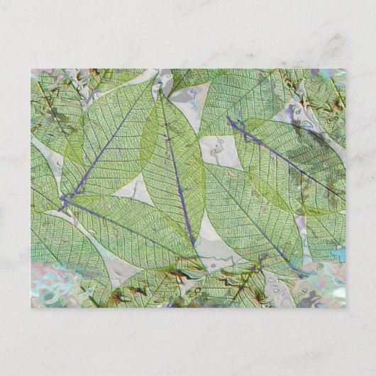 Frühling ist sprung postkarte (Vorderseite)