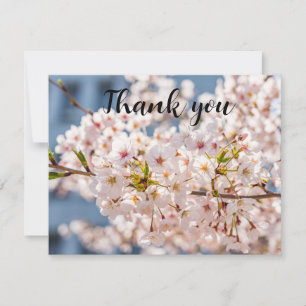 Frühling Kirschblüten Floral Sakura Danke