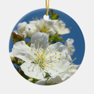 Frühling Kirschblüten Weißer blauer Himmel individ Keramikornament