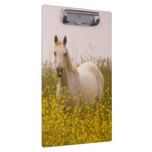 Frühling Klemmbrett (Rechts)