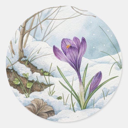 Frühling Lila Crocus im Schneekleber Runder Aufkleber (Vorderseite)