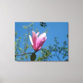 Frühling lila magnolische Blume in blauem Himmel. Leinwanddruck