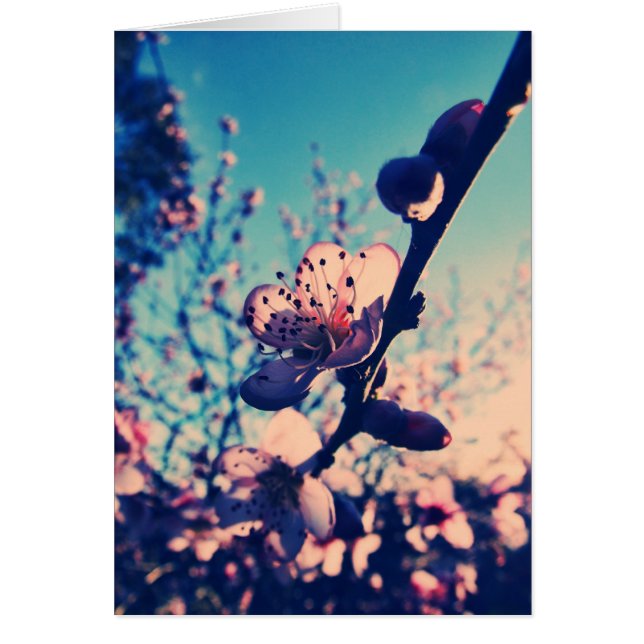 Frühling Lomo Blüten-Karte (Vorne)