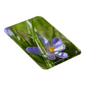 Frühling Magnet (Rechte Seite)
