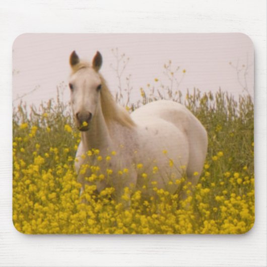 Frühling Mousepad (Vorne)
