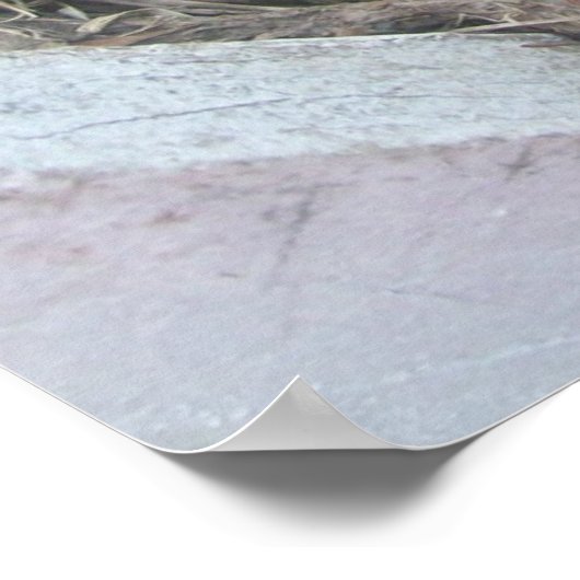 Frühling - Neugeburt Poster (Ecke)