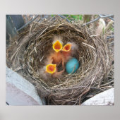 Frühling - Neugeburt Poster (Vorne)