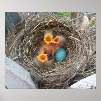 Frühling - Neugeburt Poster