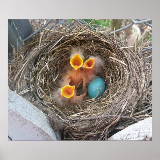 Frühling - Neugeburt Poster (Vorne)