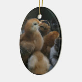 Frühling/Ostern: Küken, Kaninchen Keramikornament (Links)