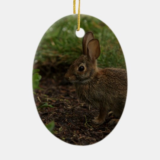 Frühling/Ostern: Küken, Kaninchen Keramikornament (Hinten)