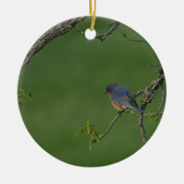 Frühling/Ostern: Männliche Drossel, weibliche Keramik Ornament