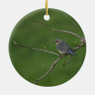 Frühling/Ostern: Männliche Drossel, weibliche Keramik Ornament