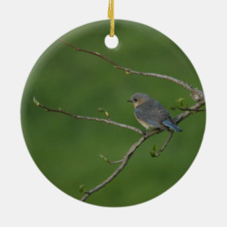Frühling/Ostern: Männliche Drossel, weibliche Keramik Ornament