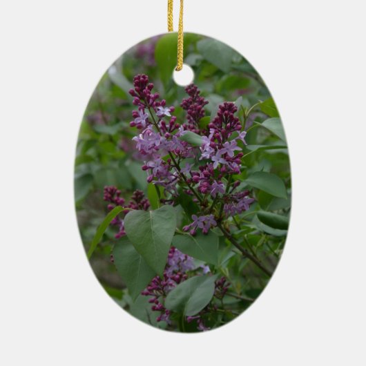 Frühling/Ostern: Neugieriges Lamm, lyrische lylacs Keramikornament (Hinten)