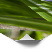 Frühling Poster (Ecke)
