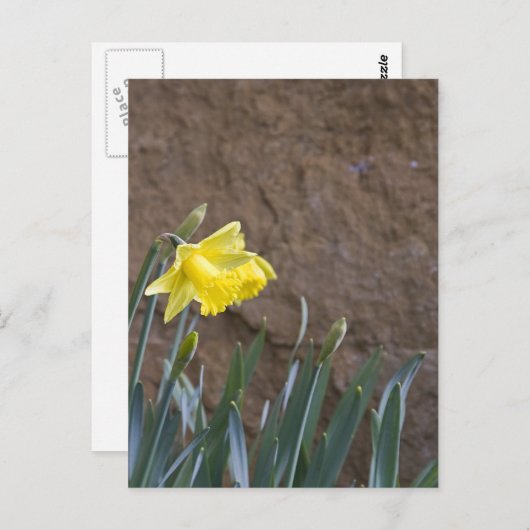 Frühling! Postkarte (Vorne/Hinten)