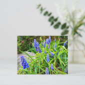 Frühling postkarte (Stehend Vorderseite)