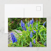 Frühling postkarte (Vorne/Hinten)