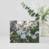 Frühling postkarte (Stehend Vorderseite)