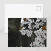 Frühling  postkarte (Vorne/Hinten)