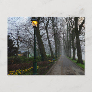 Frühling Postkarte