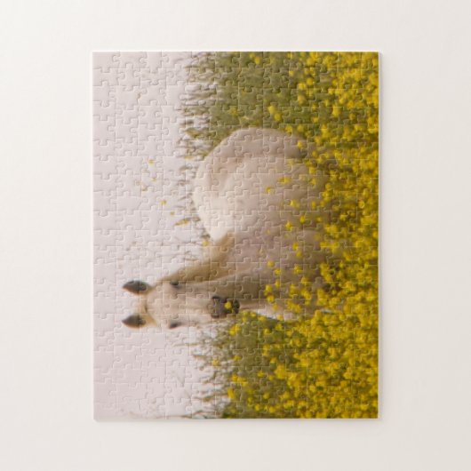 Frühling Puzzle (Vertikal)