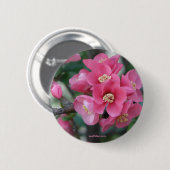 Frühling Rosa Blühende Zierquitte Button (Vorne & Hinten)