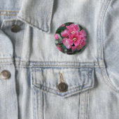 Frühling Rosa Blühende Zierquitte Button (Beispiel)