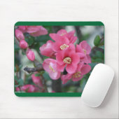 Frühling Rosa Blühende Zierquitte Mousepad (Mit Mouse)
