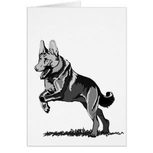 Frühling Schäferhund