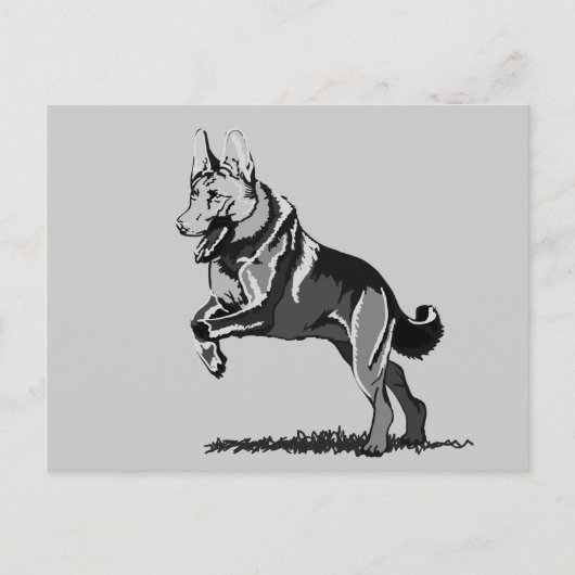 Frühling Schäferhund Postkarte (Vorderseite)